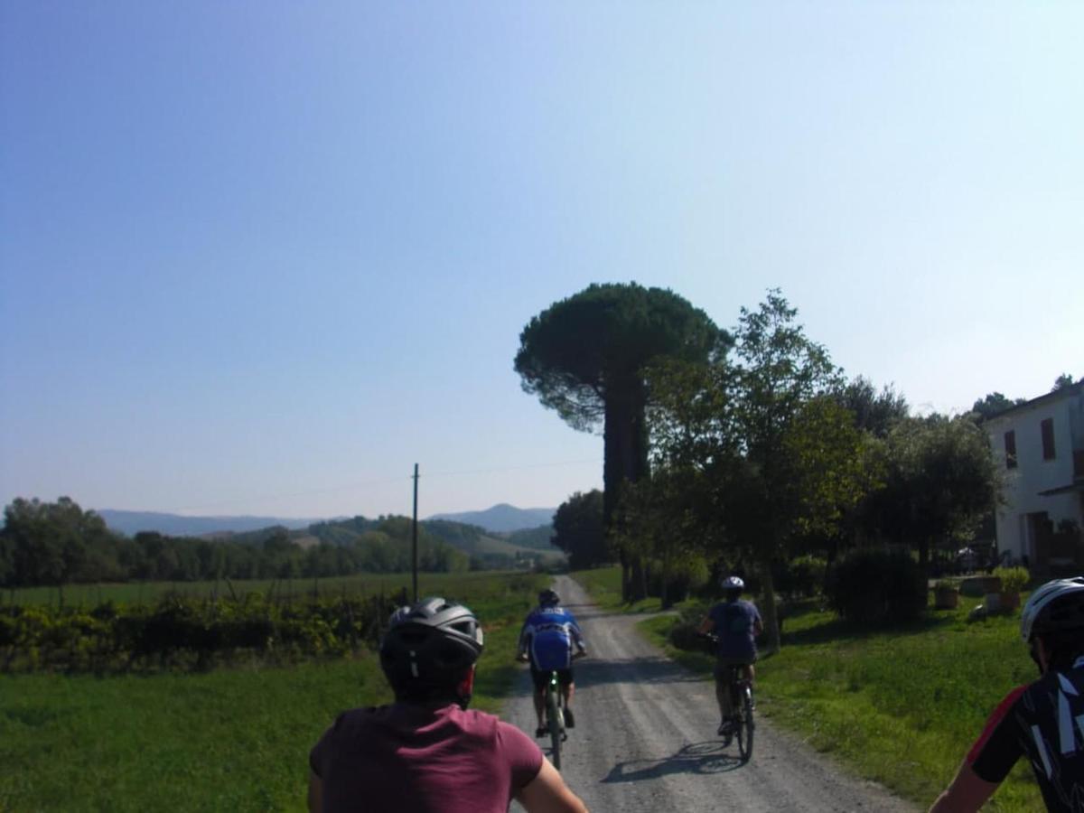 Podere Ripi Volterra Luaran gambar