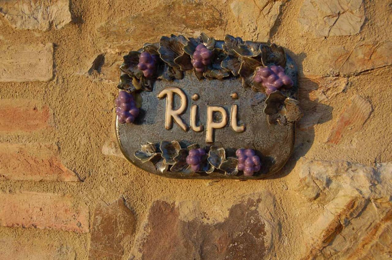 Podere Ripi Volterra Luaran gambar